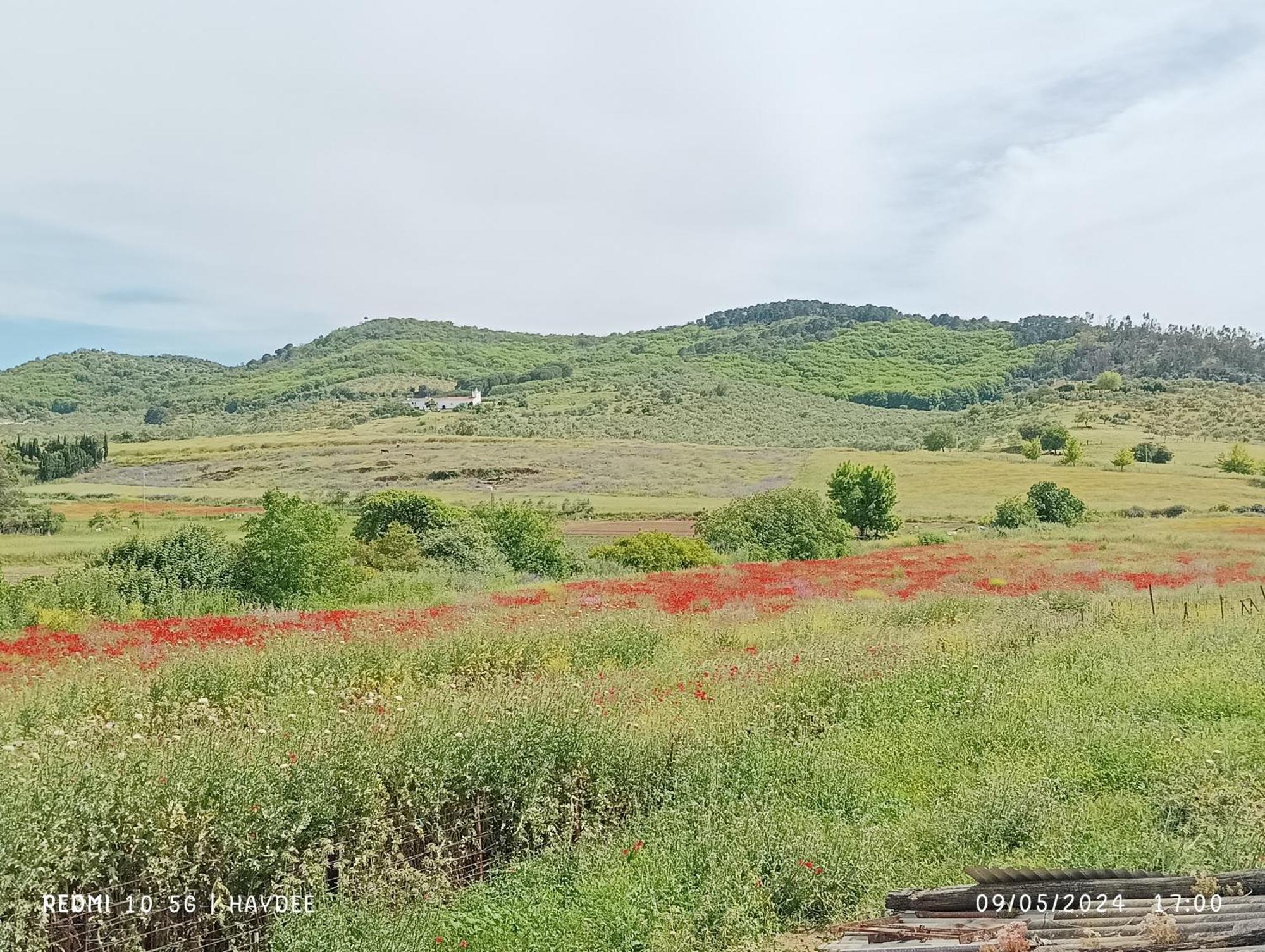 Casa El Azahin Pension Cazalla de la Sierra Kamer foto