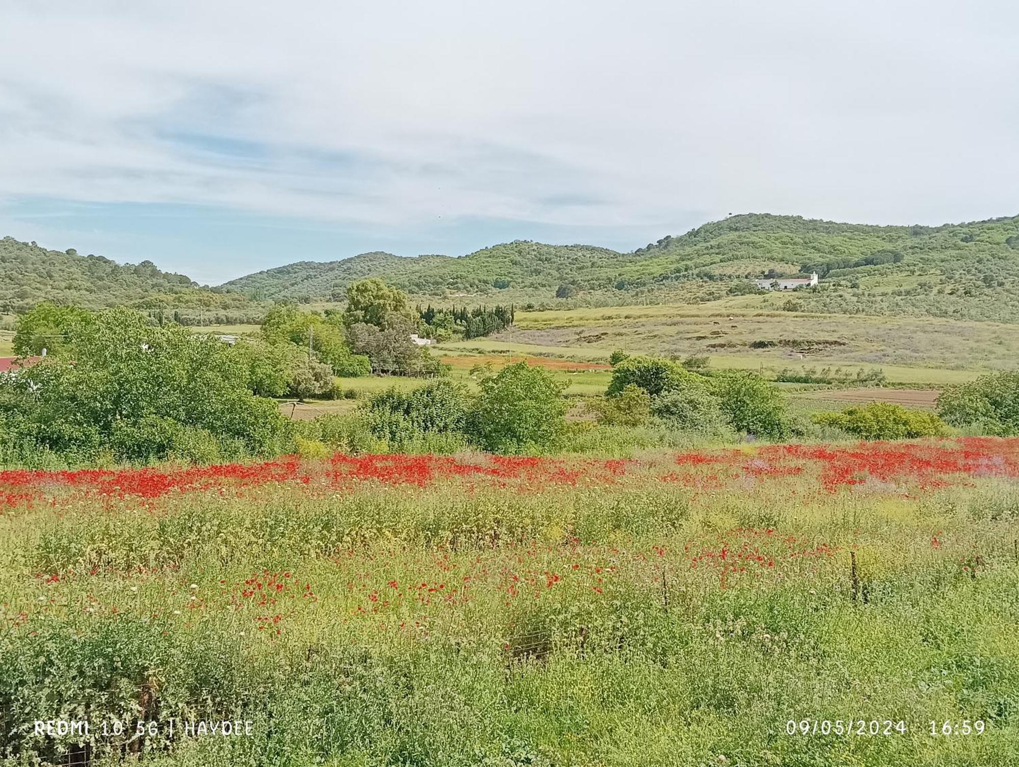 Casa El Azahin Pension Cazalla de la Sierra Kamer foto